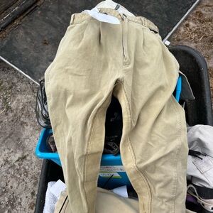 Eurostar full seat breeches size 34R